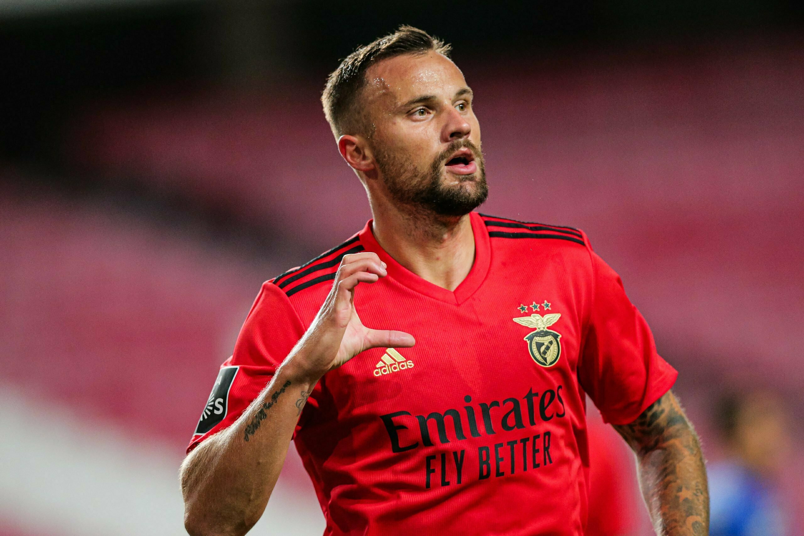 Seferovic Benfica