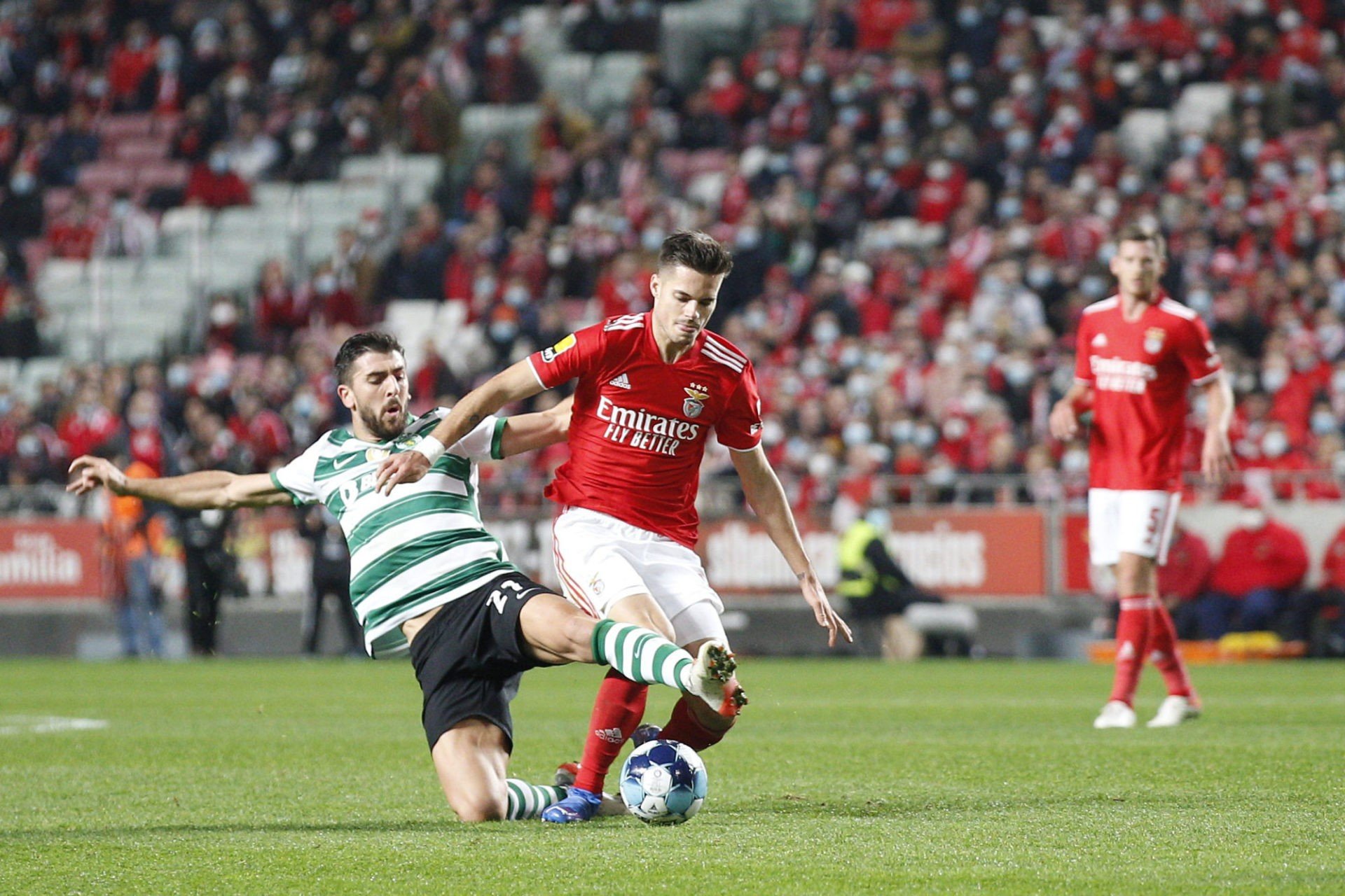 Benfica - Sporting