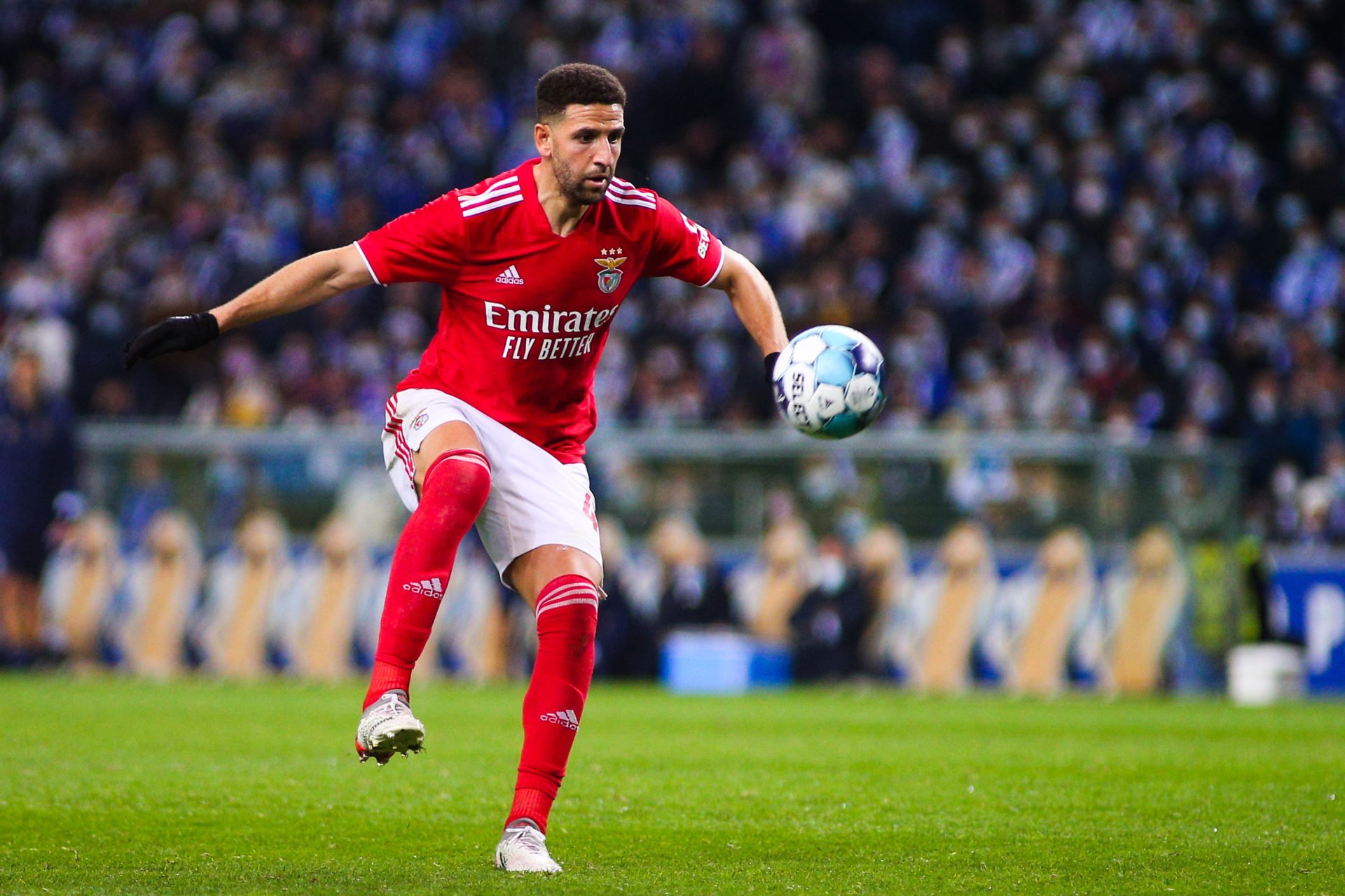 Taarabt Benfica