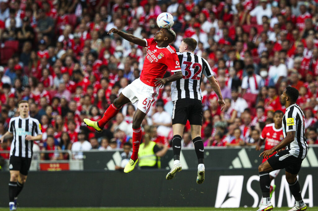 SL Benfica : Enfin la bonne pour Florentino Luis ? 1 Florentino LUis