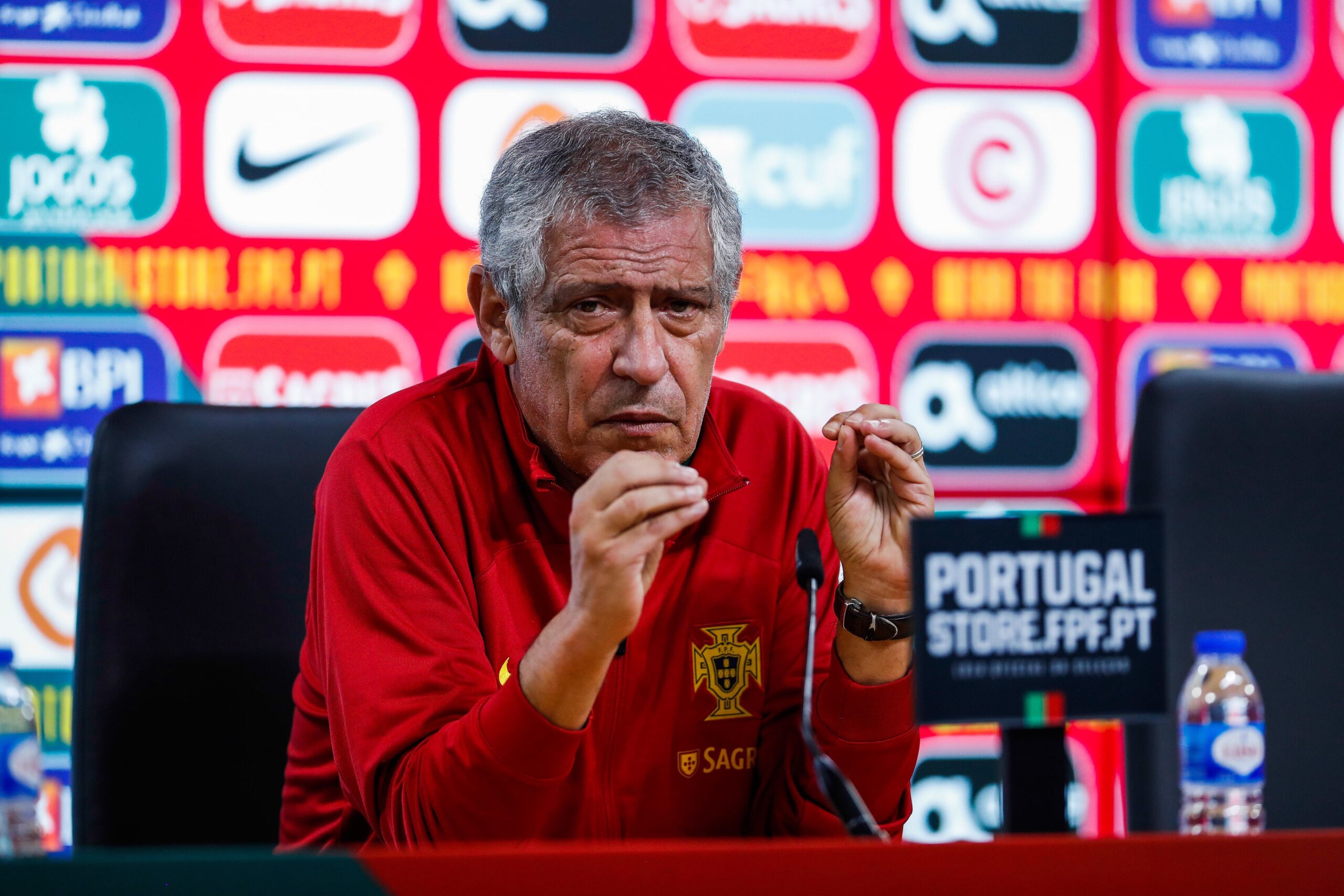 Fernando Santos Seleção