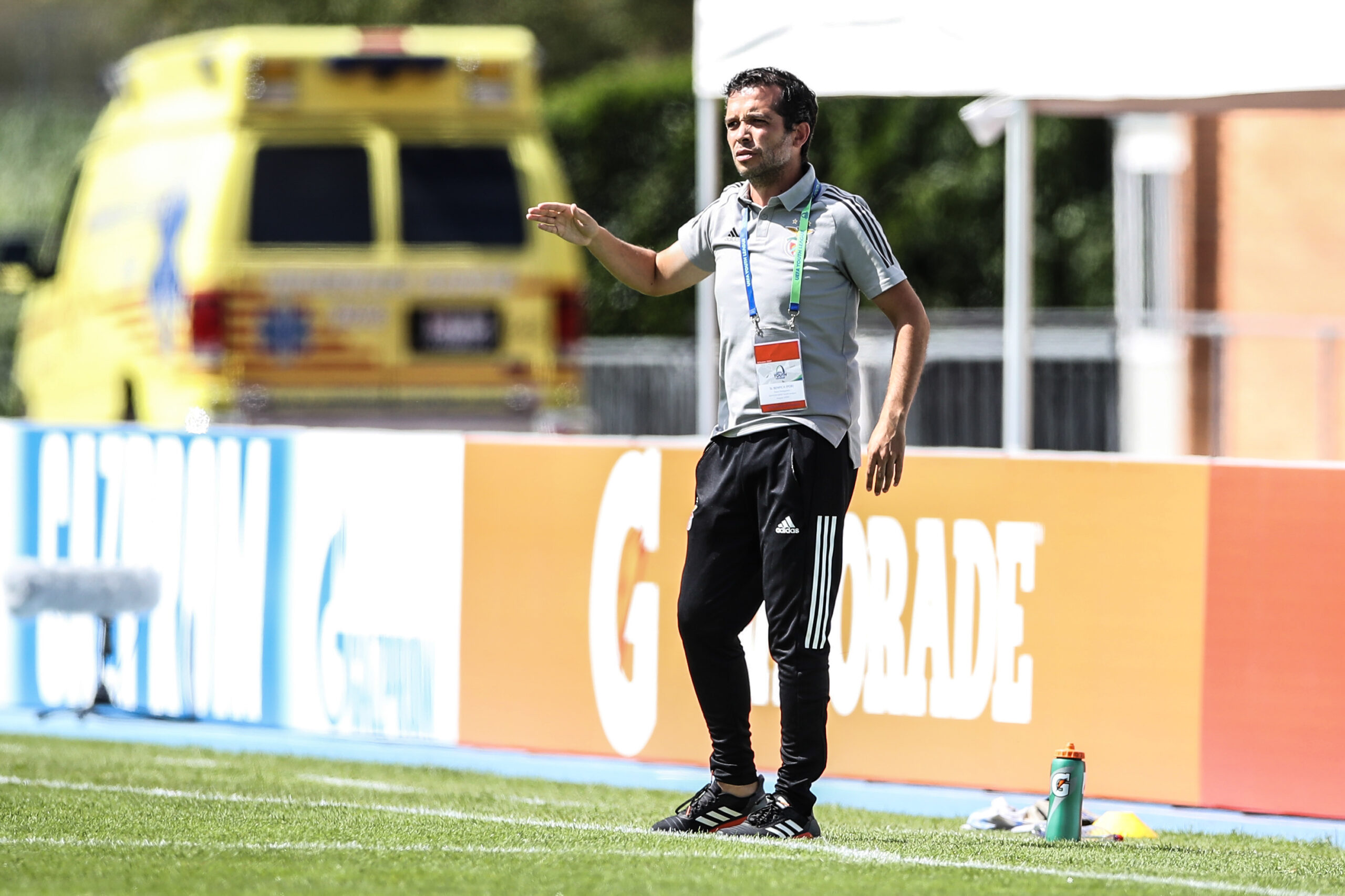 Luis Castro Benfica