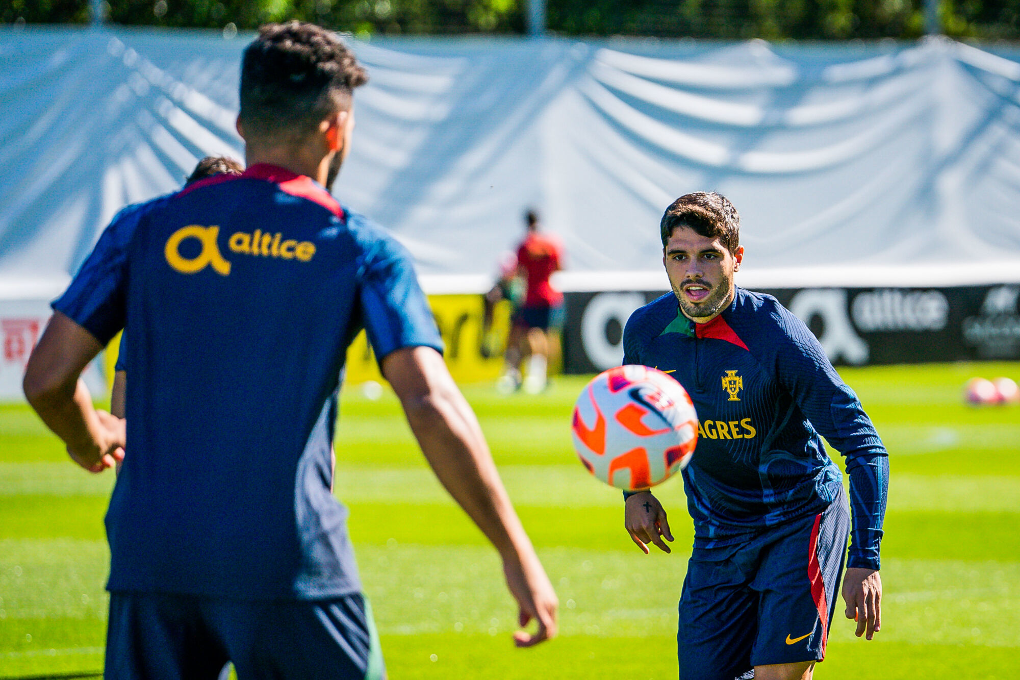 Pedro Neto Seleção