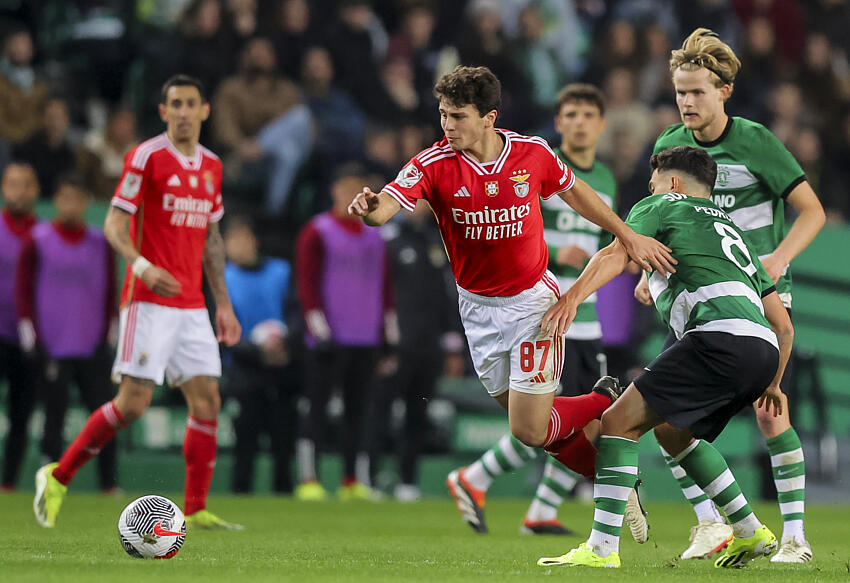 João Neves Benfica portugais