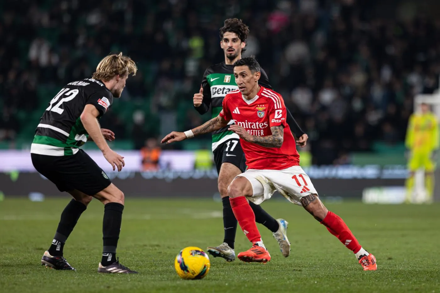 Benfica Sporting Portugal