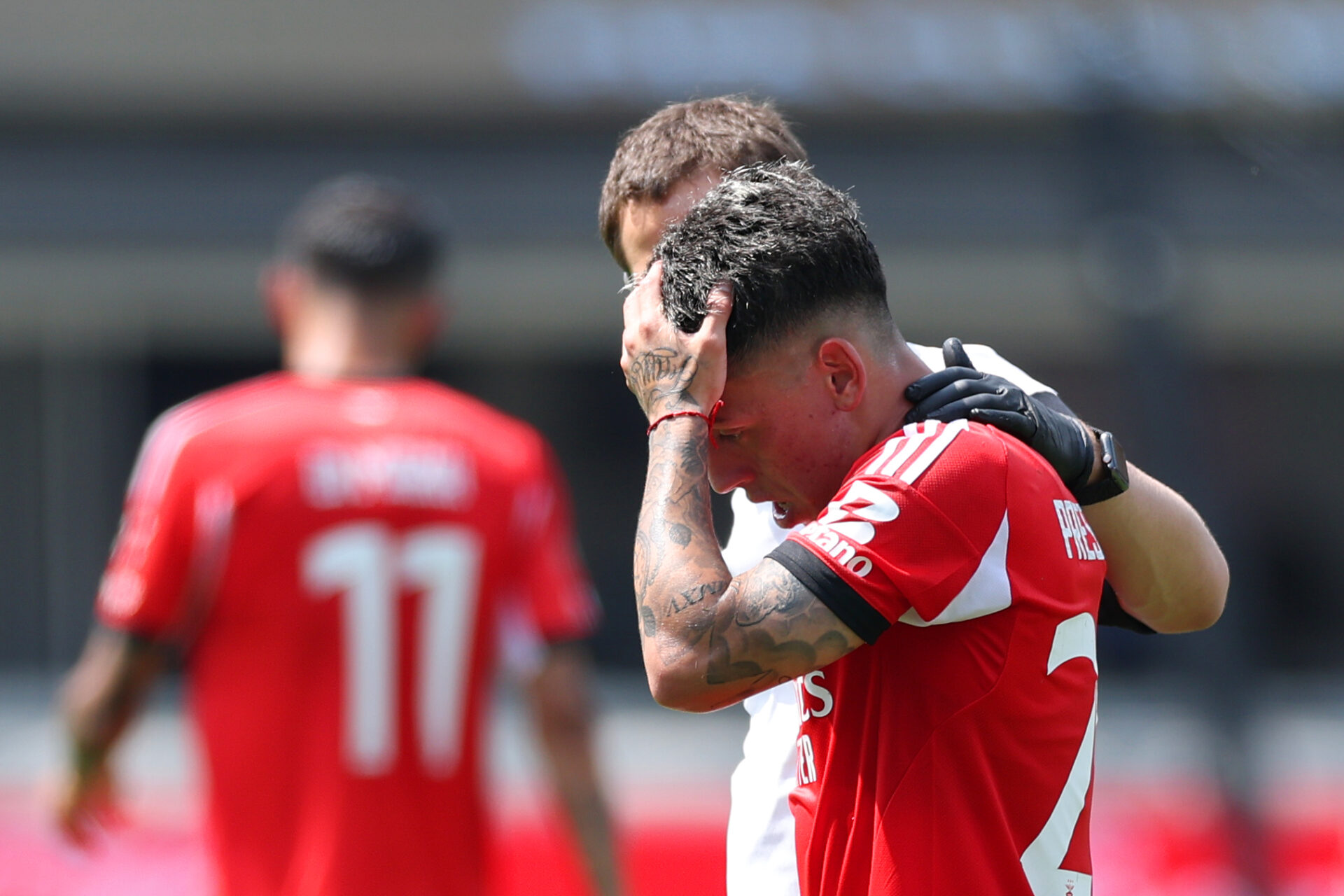 Benfica Chelsea