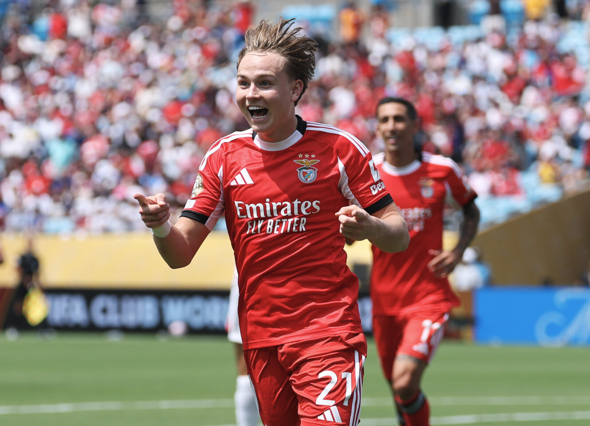Benfica Schjelderup