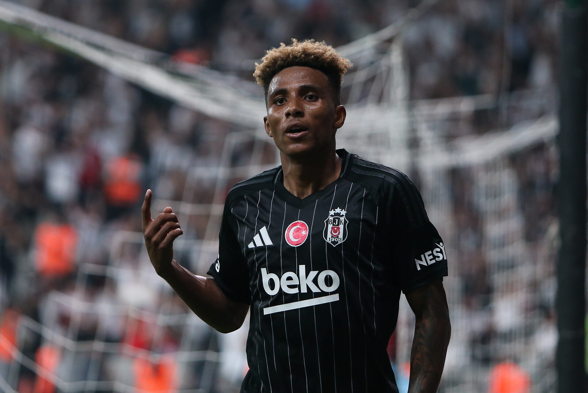 Gedson Fernandes Portugais
