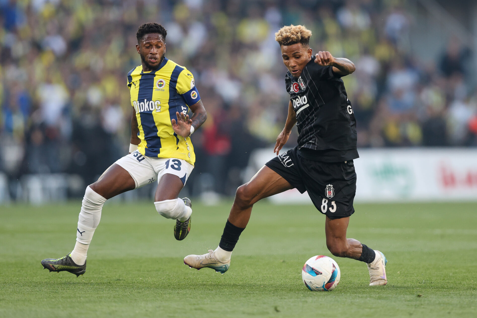 portugais gedson fernandes