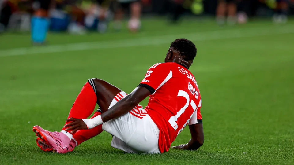 Bruma Benfica portugais