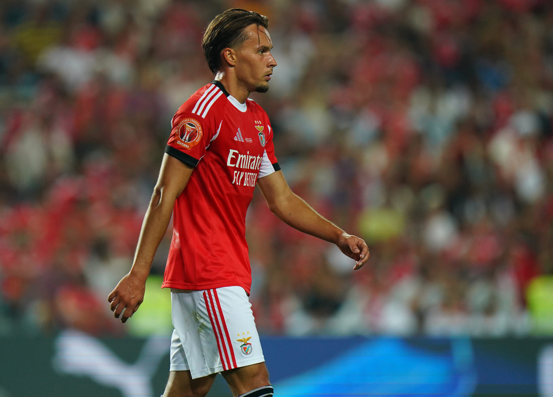 Amar Dedic Benfica