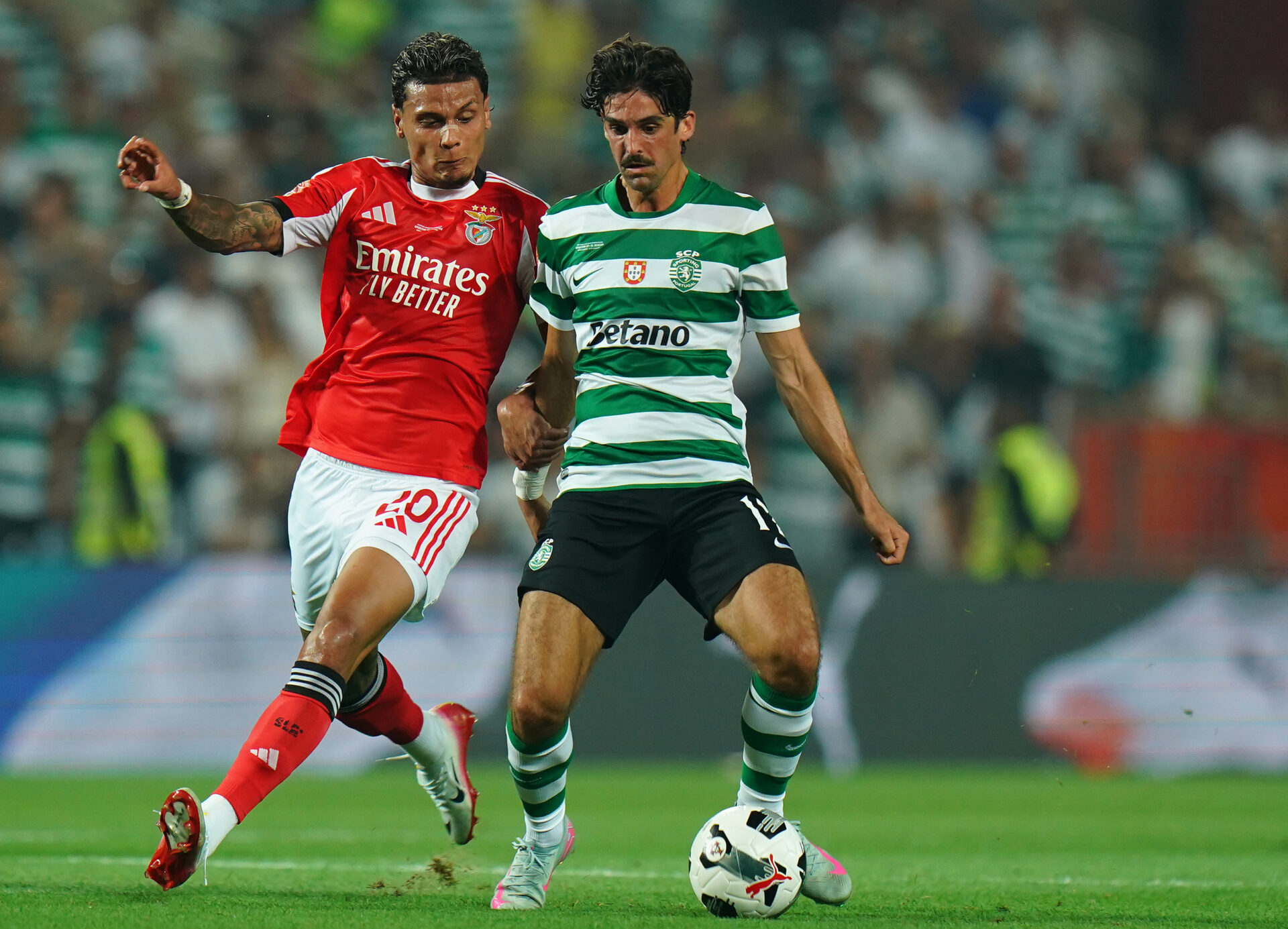 Liga Portugal