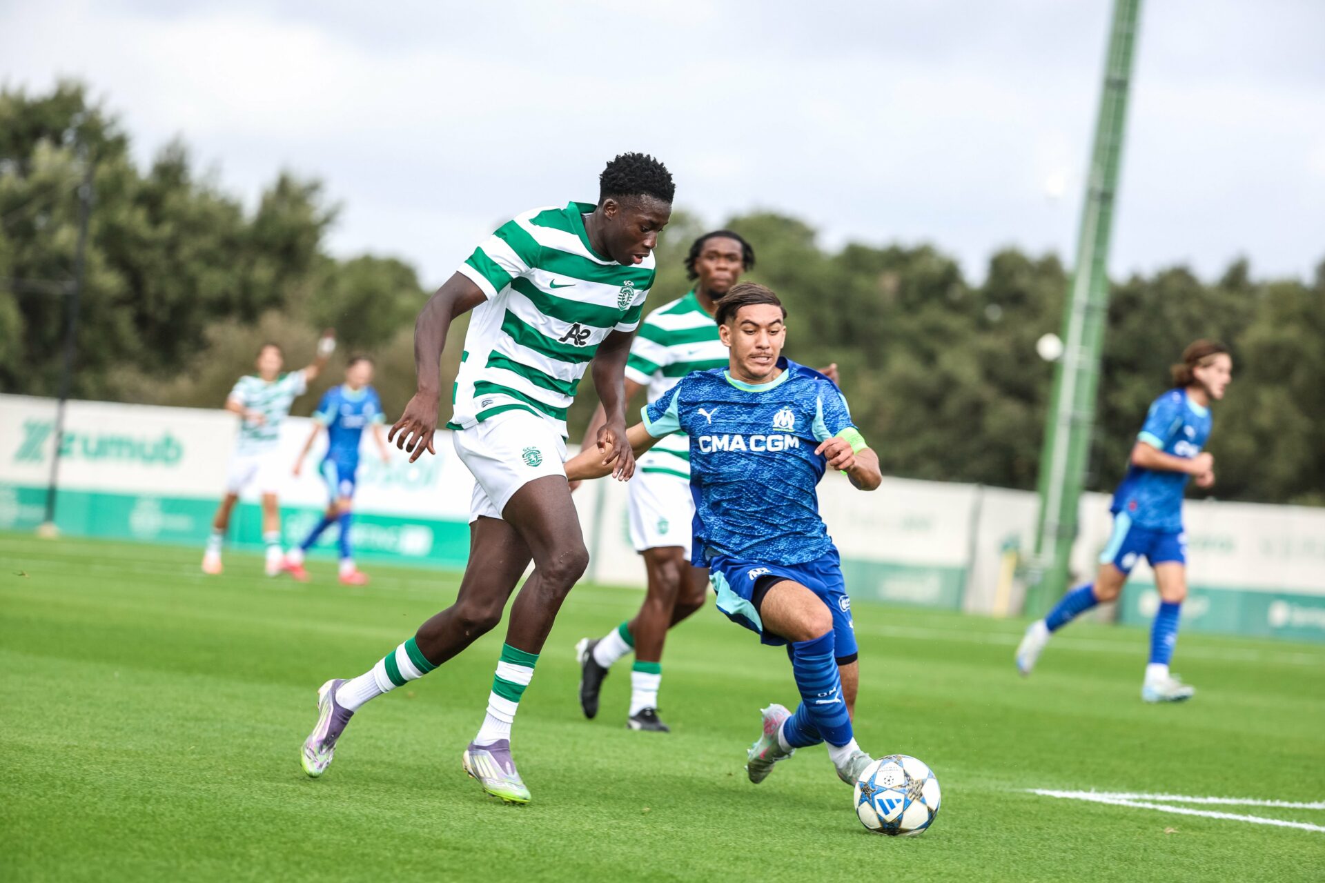Sporting OM