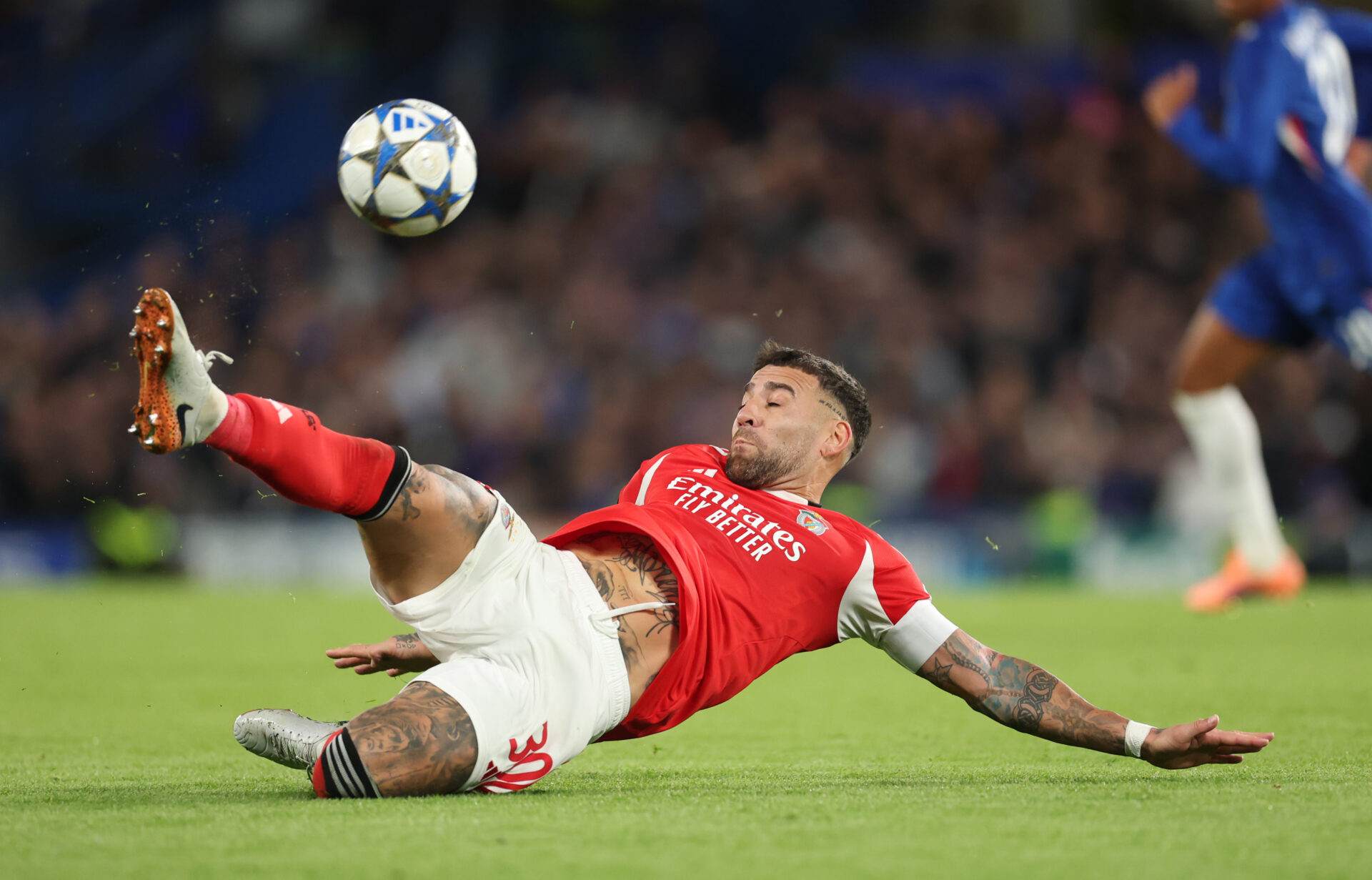 Panique Liga Portugal Benfica Porto
