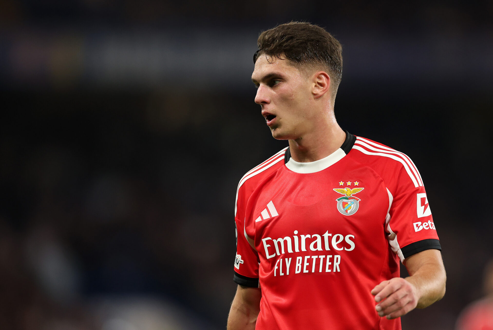 Benfica Newcastle chaîne