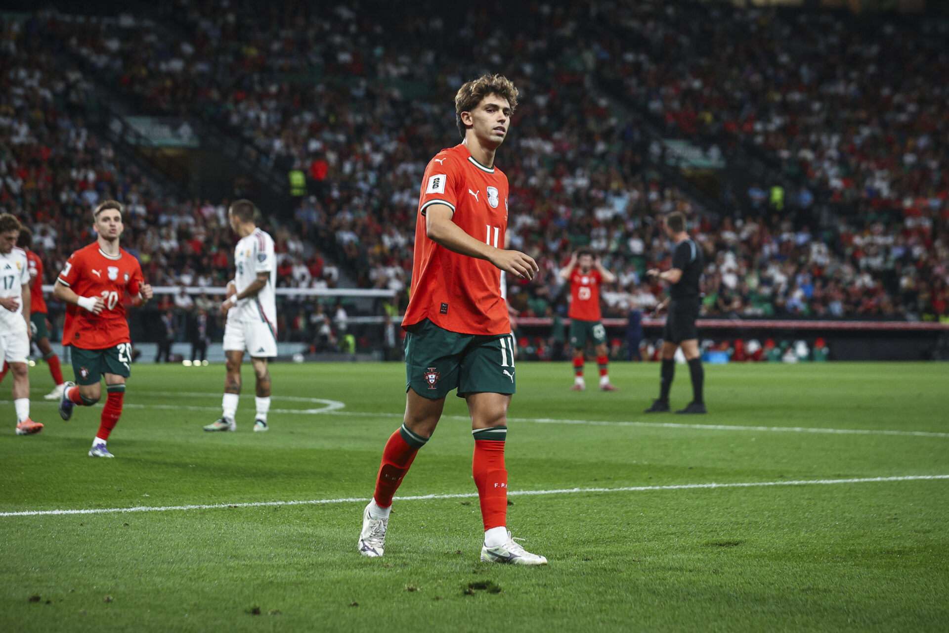 Portugal João Félix