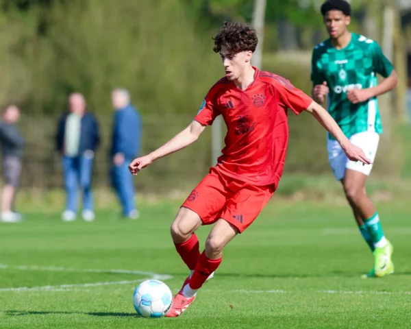 David Daiber portugais