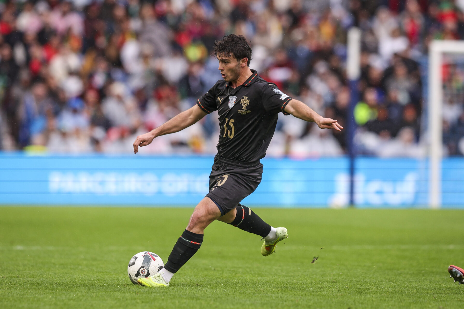 João Neves portugal