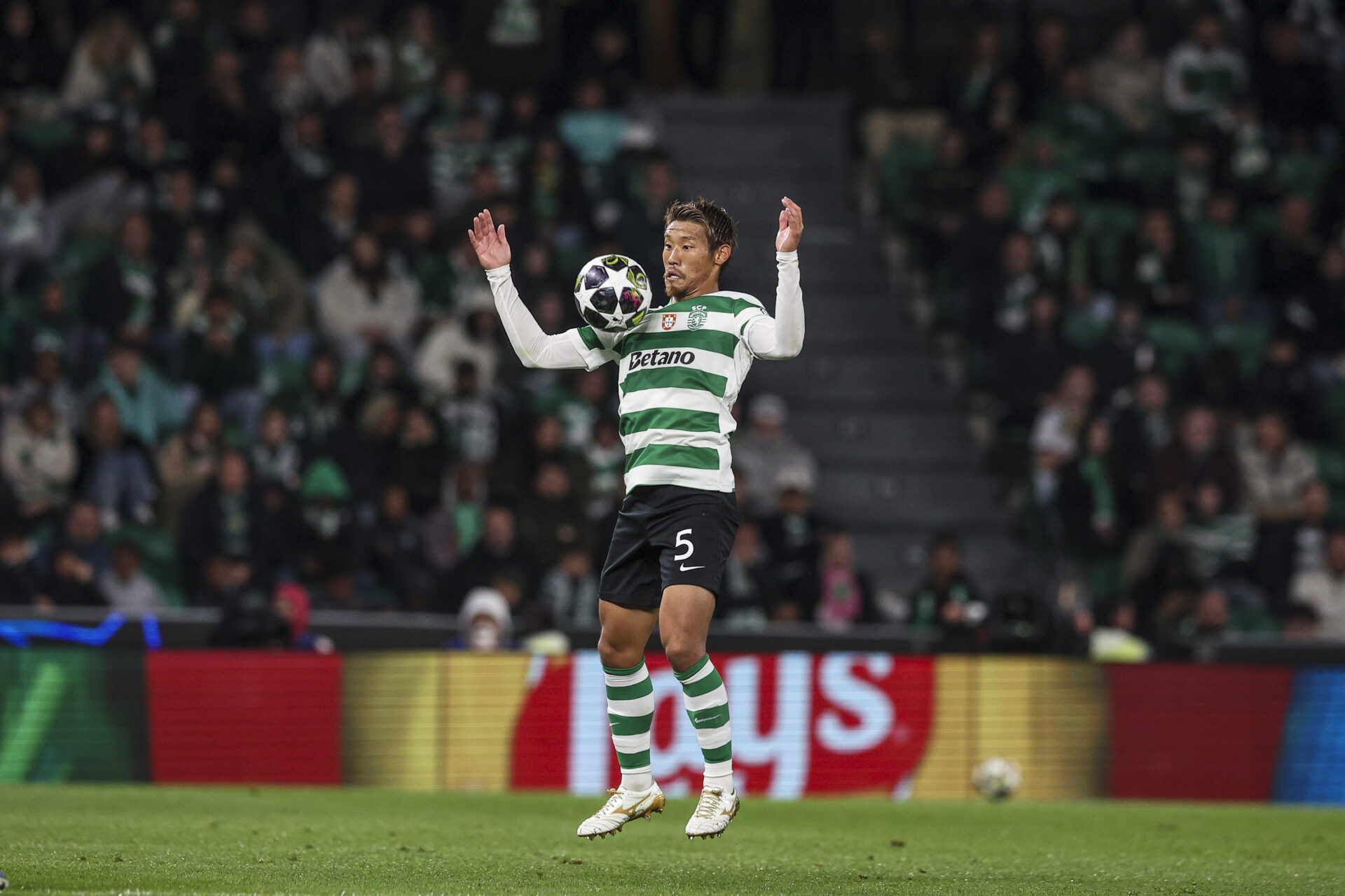 Morita portugais