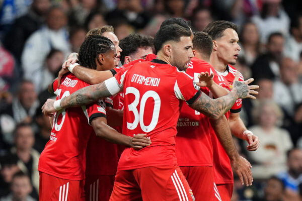 Benfica Palhinha