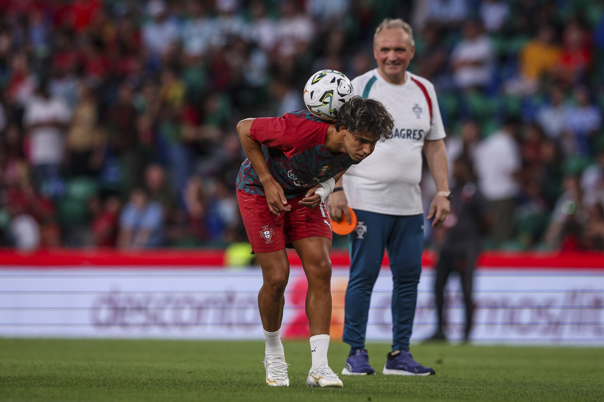Norvège - Portugal : la composition probable de la Seleção avec plusieurs changements attendus Portugal Norvège composition probable